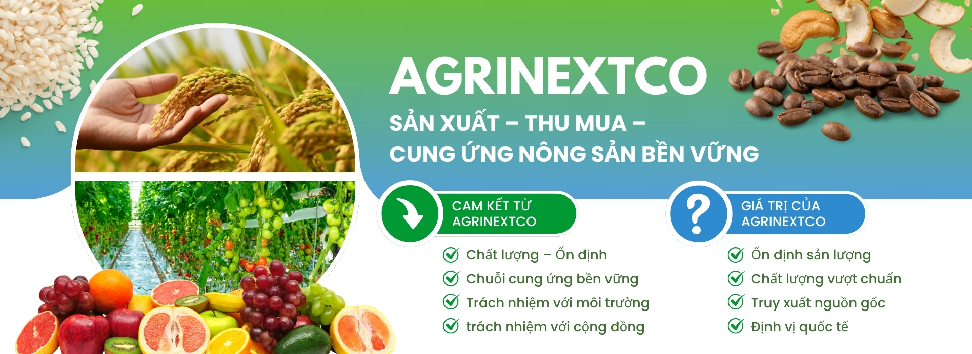cung ứng nông sản AGRINEXTCO (1)