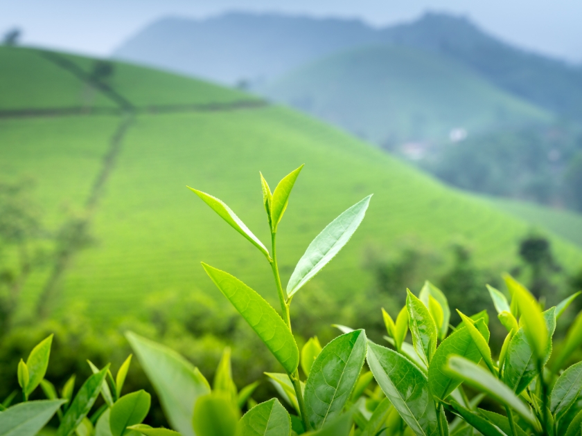 Agrinextco hướng tới ESG (3)