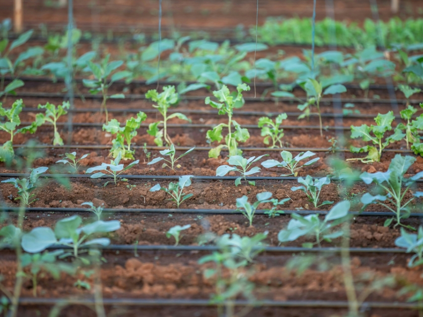 Agrinextco hướng tới ESG (5)