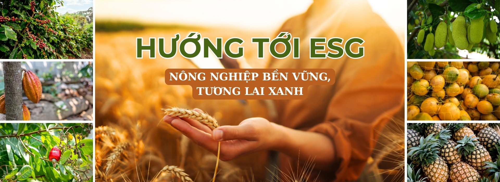 Agrinextco hướng tới ESG