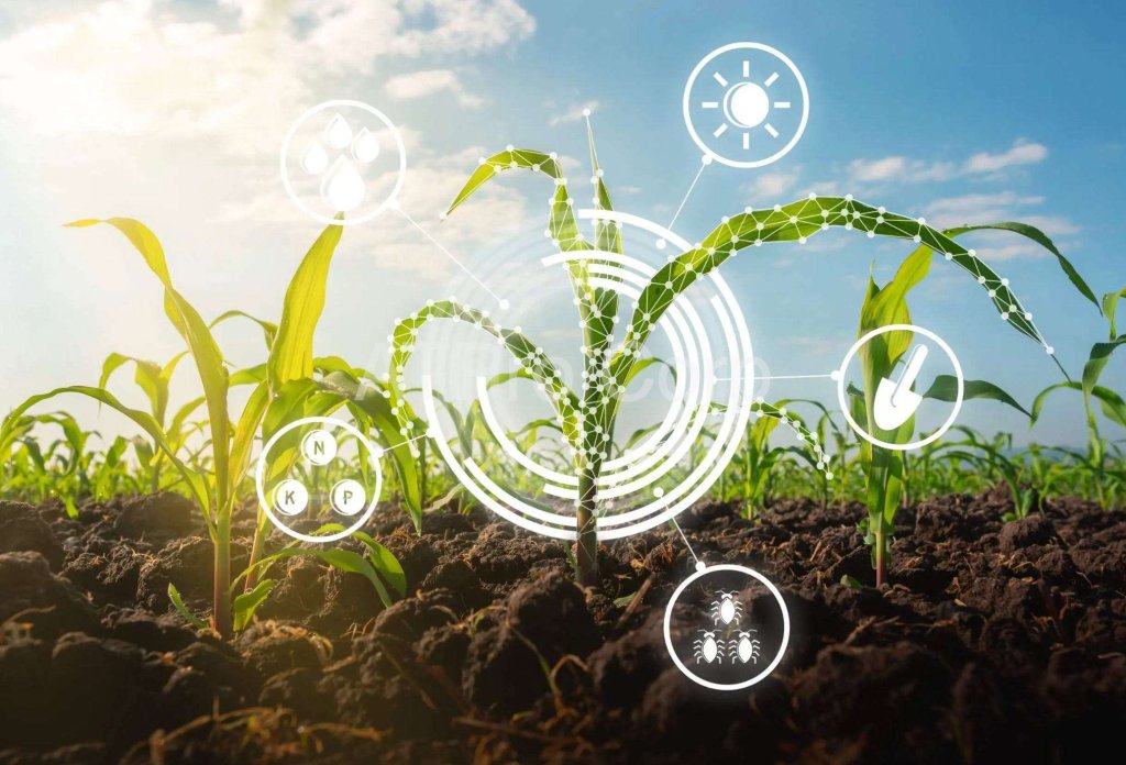 quản lý vùng trồng