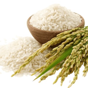 Gạo