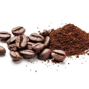 cung ứng nông sản