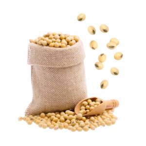 cung ứng nông sản