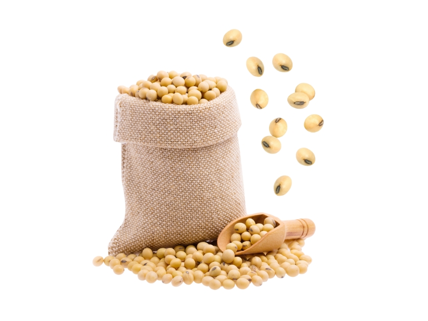 Đậu nành - Ảnh 2