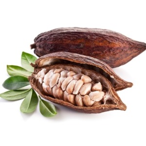 Cacao
