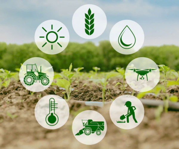 Kết hợp hệ thống quản lý thông minh Kết hợp hệ thống quản lý thông minh