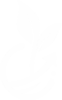 Logo Agrinextco icon white
